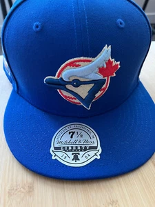 Toronto Blue Jays Mitchell & Ness Liberty Fitted Hat- Multiple Sizes - Picture 1 of 5
