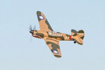 Curtiss P-40 Warhawk Micro Warbirds RTF RC Airplane w/PASS Stability Assist - Image 1 of 4