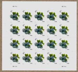 BLUEBERRIES SCOTT #5652 FRUIT NATURE 2022 US 4c MINT VERY FINE STAMP SHEET NIP - Picture 1 of 2