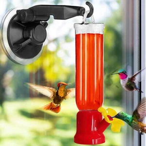 Window Hummingbird Feeder with Strong Suction Cups Hangers for Outside - Picture 1 of 8