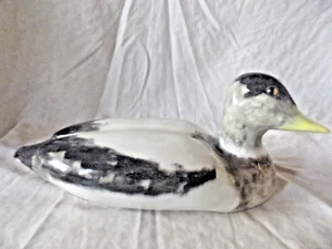 A RARE Jenny Winstanley Prototype Duck in a High Gloss Glass Eyes and Signed - Picture 1 of 7