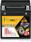 Panther Motorradbatterie 53036 mit GEL-Technologie 12V/30Ah inkl. 7,50€ Pfand