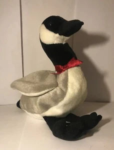 Mooch TY Beanie Baby August 1, 1998  Original. - Picture 1 of 2