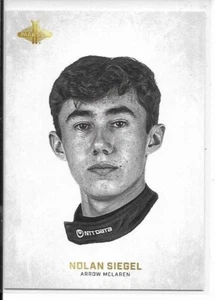 2025 Parkside Indycar Collezione "Sotto il secchio" NOLAN SIEGEL #21 - Foto 1 di 1