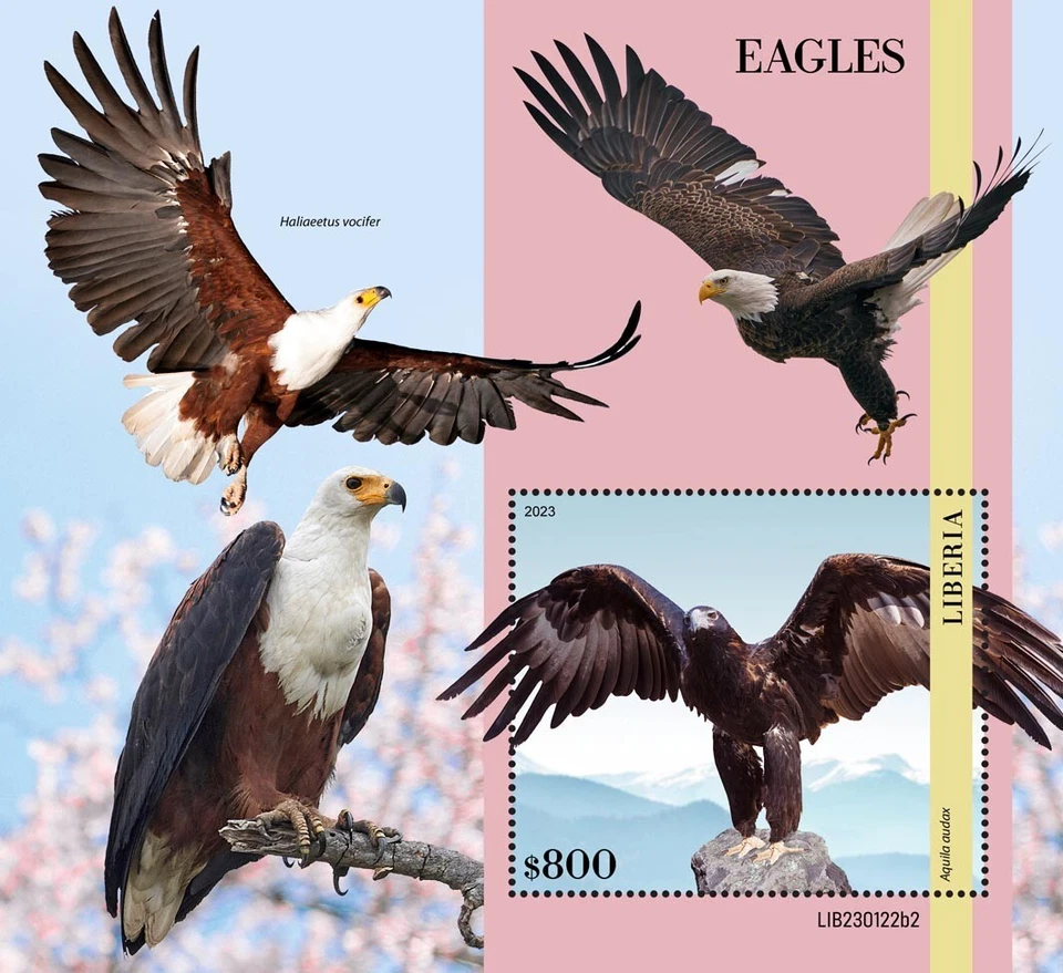 Estampillas Eagles Birds MNH 2023 Liberia S/S Foto 1 de 1