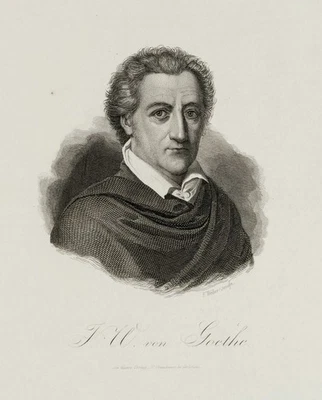 F. WEBER (1813-1882), Porträt J. W. von Goethe (1749-1832), Sst. Romantik - Bild 1 von 4