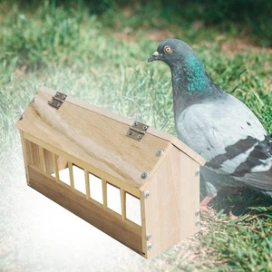 Pigeon Feeder with Lid Poultry Trough Dish for Poultry Animal Quails Birds - Picture 1 of 5