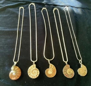 Set bestehend aus 5 Ketten 18 Zoll massiv 0,925 Sterlingsilber jeweils mit fossilem Ammonit Anhänger D - Bild 1 von 16