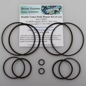Juego de reparación de anillo de sellado doble Vanos de Beisan Systems M52TU M54 + regalo - Imagen 1 de 6