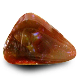 Ágata de fuego multicolor de 9,62 quilates corte elegante (17 x 14 mm) sin calefacción - Imagen 1 de 1