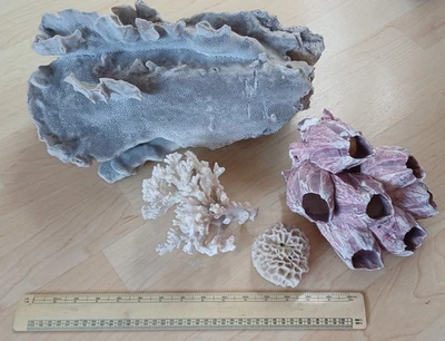 Selection of vintage decorative marine corals. - Image 1 of 4