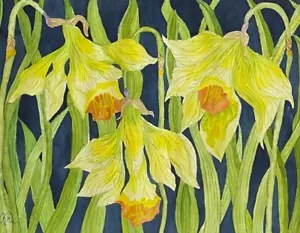 PAINTING WATERCOLOR ORIGINAL ART FLOWERS DAFFODILS YELLOW GREEN 11X14 MAT 16X20 - Picture 1 of 2