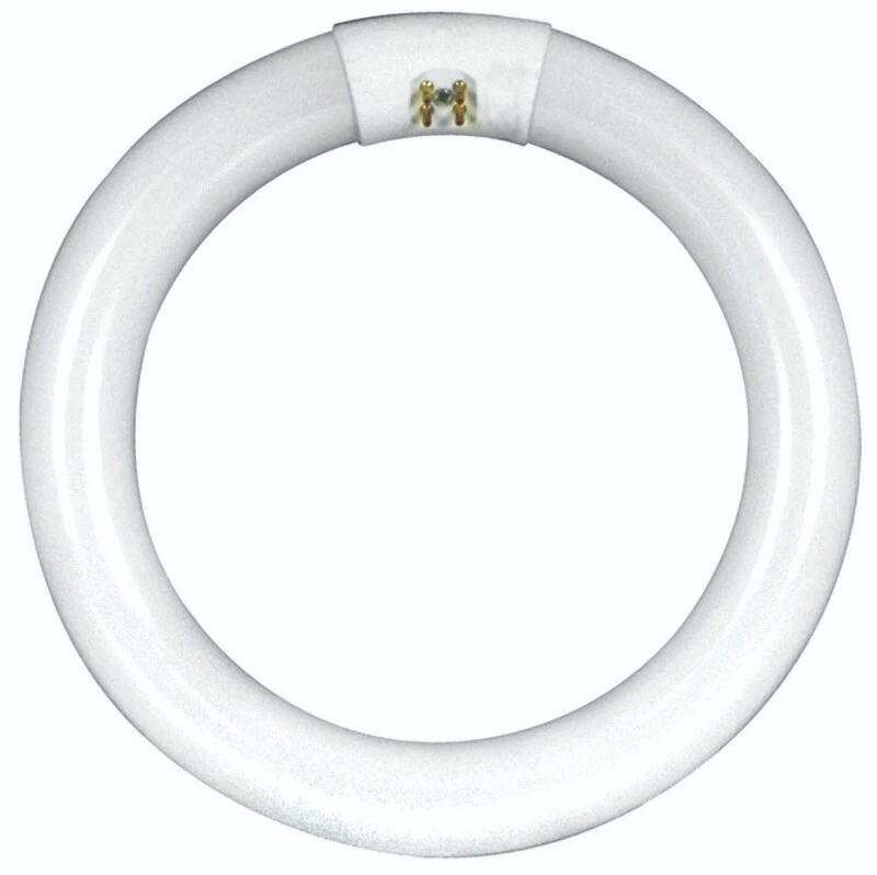 FEIT FC16T10/CW 40 watts T9  16 in" Cool White  Fluorescent CIRCULAR LIGHT BULB - Image 1 of 1