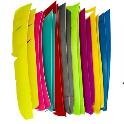 50x arrow feathers natural feathers full length feathering archery RW LW wings - Image 1 of 4