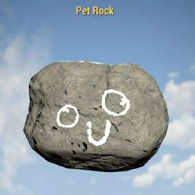 FALLOUT 76 PC Pet Rock (Rare Misc) - Image 1 of 1