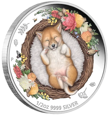 DREAMING DOWN UNDER Dingo 2021 1/2oz .9999 SILVER PROOF COLOURED COIN - Image 1 of 4