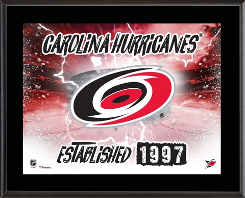 Carolina Hurricanes 10.5x13 Horizontal Team Logo Plaque Authentic Cover