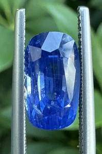 Stupenda Birmania non riscaldata 7,28 ct fiordaliso blu zaffiro certificato loto - Foto 1 di 11