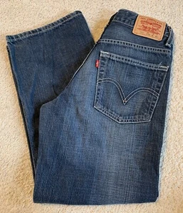 Levi’s 569 Loose Straight Dark Wash Jeans Boys Size 12 Y2K - Picture 1 of 10