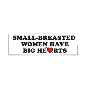 SMALL BREASTED WOMEN Bumper Sticker - Funny Vintage Style - Vinyl Decal 80s 90s - Picture 1 of 3