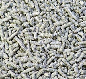 paper pellet bedding