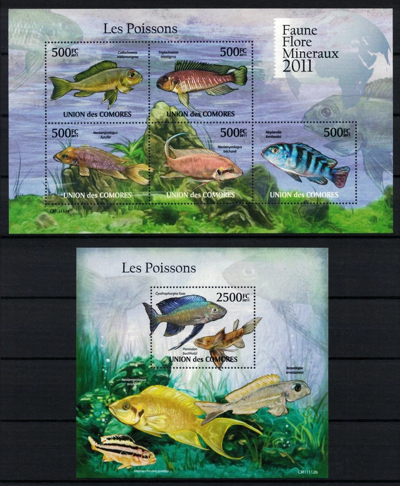 COMOROS 2011 - рыбы / полный комплект (блок + лист) MNH - Изображение 1 из 1