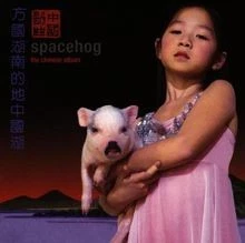 The Chinese Album von Spacehog | CD | Zustand sehr gut - Bild 1 von 2