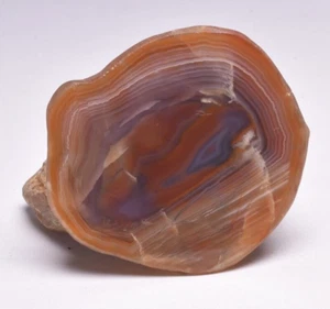 AGATE CREEK, AGATE HALF, POLISHED, AUSTRALIA P1103 - Picture 1 of 5