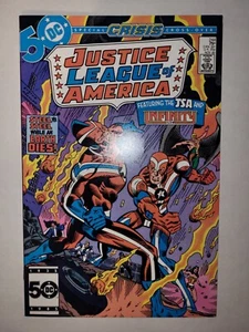 Justice League Of America 1985 #244! CRISIS! SEE PICS! - Picture 1 of 6