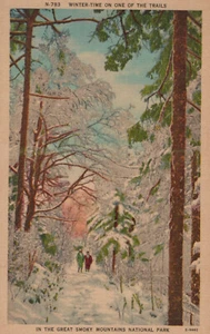 Postal Parque Nacional Great Smoky Mountains Carolina del Norte Snowy Trail Lino - Imagen 1 de 7