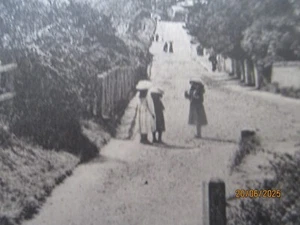 ISLE OF WHGHT ; SANDOWN CLIFF WALKS ANTIQUE EDWARDIAN PERIOD POSTCARD - Imagen 1 de 3