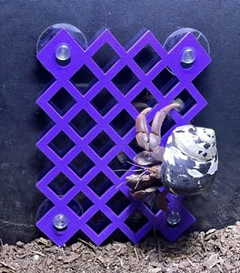 Hermit Crab Climbing Wall Hermit Crab Tank Ornament Toys Accessories Supplies - Picture 1 of 11