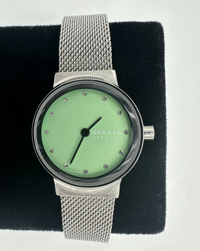 SKAGEN Stainless Steel Watch with Light Green Sunray Dial and Mesh Band Foto 1 de 4
