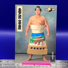 Wakanojo Munehiko Sumo Wrestler Trading Card BBM 1998 TCG Vintage Japanese #109