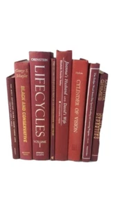 8 Burgundy Shades Hardcover Books Instant Library Decorative Collection Books - Imagen 1 de 1