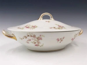 Plato grande ovalado cubierto de verduras Haviland Schleiger 1132 rosas rosadas - Imagen 1 de 22