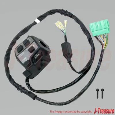 HONDA GOLD WING GL1800 01-03 Genuine Starter Stop Switch Set 35013-MCA-505 OEM — 第 1/4 张图片