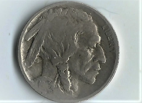 1916 DOUBLE DATE BUFFALO Cover