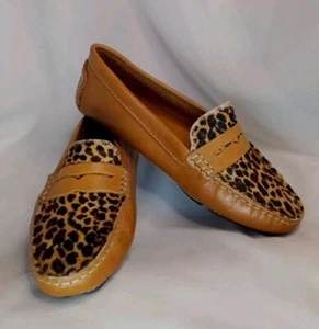Massimo Mateo Women’s Leopard Print Leather Penny Loafers Flats Size 6 ( 6B ) 🆕 - Picture 1 of 12