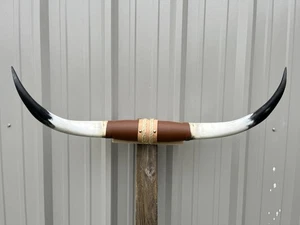 CUERNOS DE DIRECCIÓN MONTADOS 3 PIES DE ANCHO LONGHORN PULIDO MONTAJE VACA TORO - Imagen 1 de 1