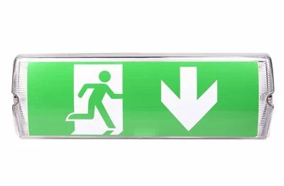 LEADGOODS Notbeleuchtung Schild LED Fluchtwegleuchte Notleuchte Notausgang 350x110x55mm