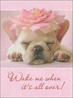 Tarjeta de aliento o bienestar del Bulldog Francés ~ Hope It's All Roses for You Soon Foto 1 de 2