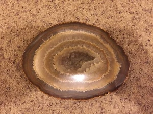 Beautiful Earth Tone Agate Crystal Quartz Natural Geode Mineral Rock Stone Slice - Picture 1 of 8