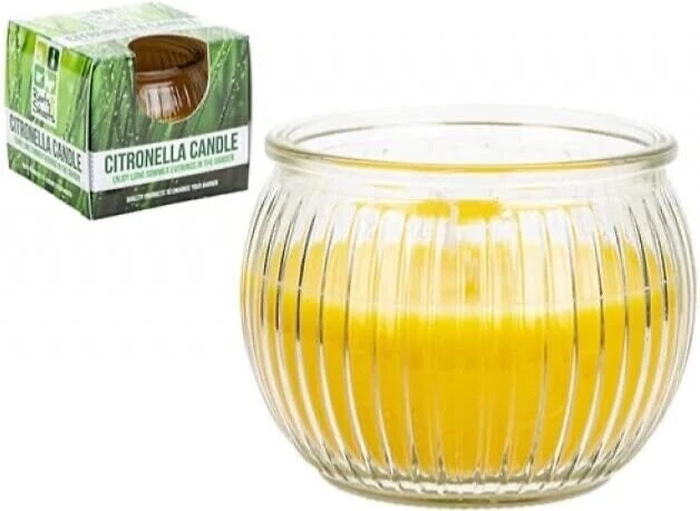 Citronella Candles for Indoor / Outdoor Use Bugs Away  - 13 Hours Burn Time - Image 1 of 1