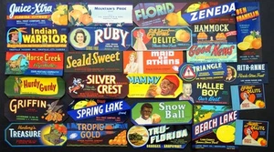 Lot of 56 Vintage FLORIDA Orange Citrus Fruit Crate LABEL / Better Labels - Picture 1 of 1