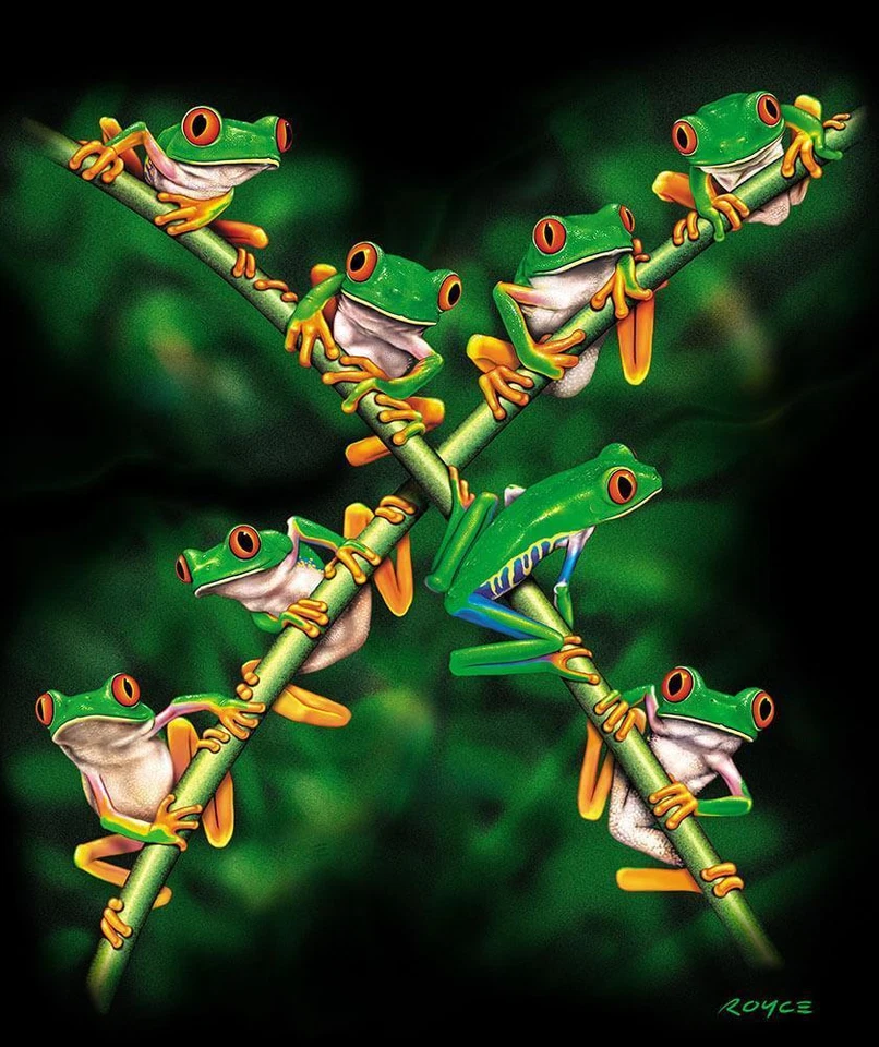 JQ Signature Select Tree Frog Rainforest Hangout Medium Queen Mink Style Blanket