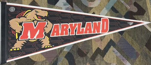 Vintage 90s Maryland Terrapins Pennant NCAA March Madness College Basketball DMV Cover