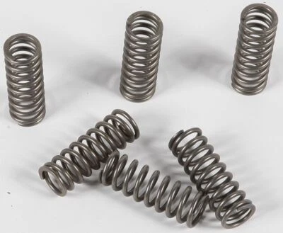 Комплект пружин сцепления EBC CSK для Honda VTX1800C/F/N/R/S/T 2002-2011 CSK90 - Изображение 1 из 3