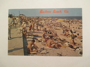 Hampton Virginia Postcard Buckroe Beach VA - Picture 1 of 2