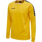 Hummel Authentic Training Sweatshirt 5001 205373